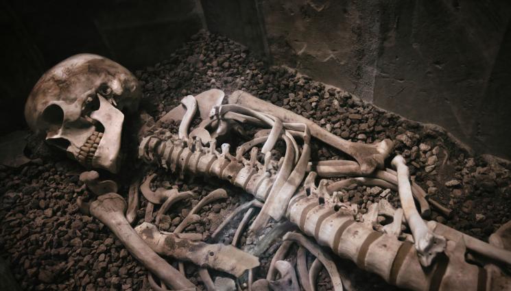 скелет кости - ЩЕ ПРЕНАПИШАТ ЛИ ИСТОРИЯТА? Археолози твърдят, че са открили най-стария човешки скелет в света!