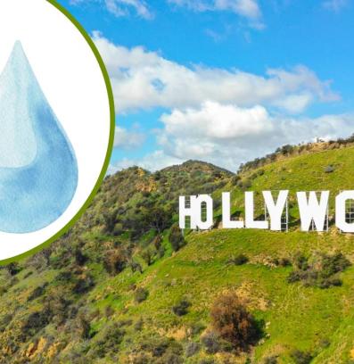 холивудски звезди