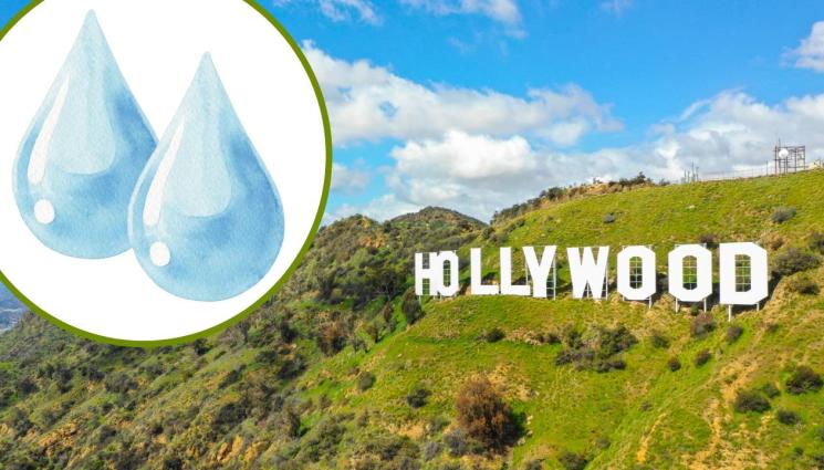 холивудски звезди - КАТО ДВЕ КАПКИ ВОДА: Вярвате или не, всяка холивудска звезда си има холивудска звезда двойник! (СНИМКИ)