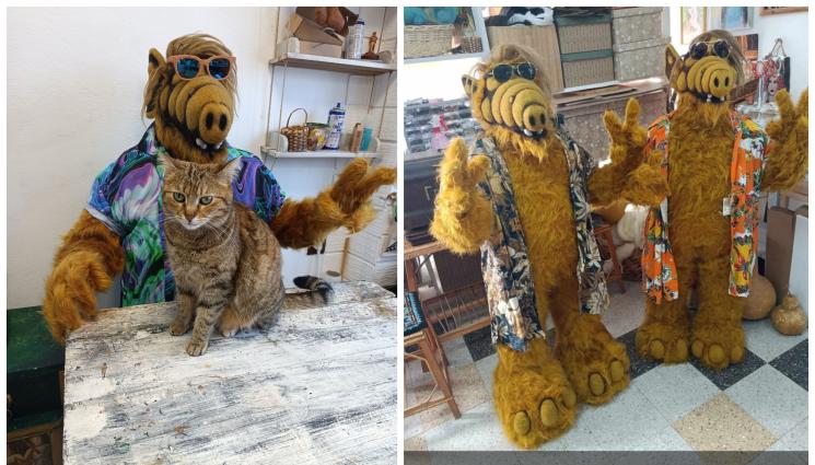 АЛФ - Алф колонизира България!