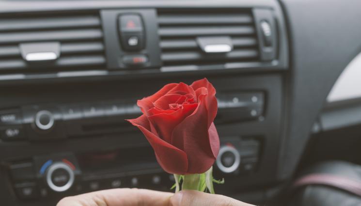 роза кола - ЗА ДЕНЯ НА ЖЕНАТА: Катаджии подаряват цветя вместо глоби във Варна