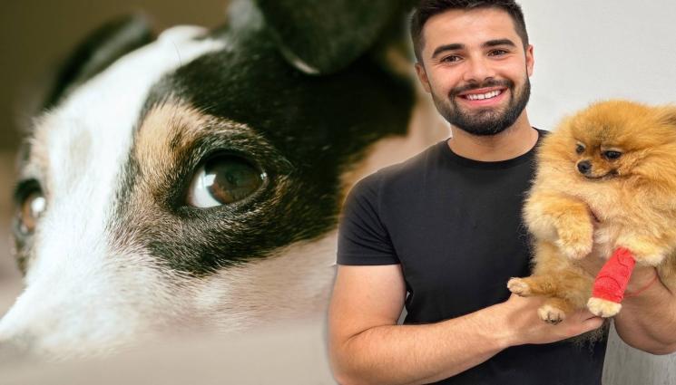 Др Йоан Славчев - ВНИМАНИЕ: Опасности от развалена храна за домашните любимци!