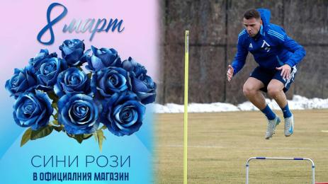 Алекс Колев сини рози