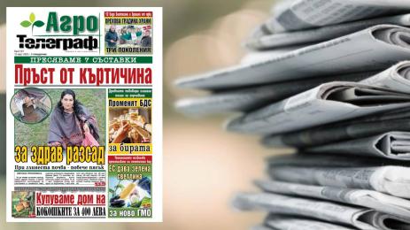 Агро Телеграф