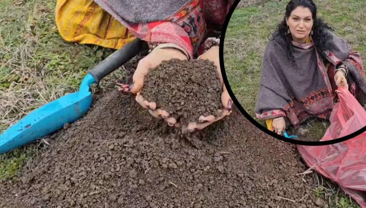 с - Агро Телеграф: Пръст от къртичина за здрав разсад!