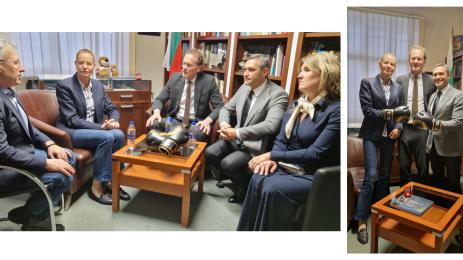 Стефка Костадинова Световния бокс