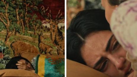 Глезеният племенник