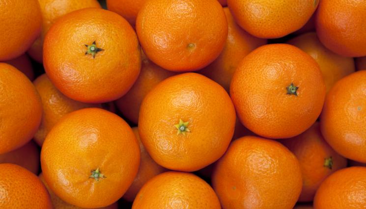 мандарини - ТОП 7 ПРАКТИЧНИ СЪВЕТА: Мандарината оживява като лъвче и зайче (СНИМКИ)