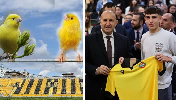 Ботев Пловдив - Направиха на канарче държавния глава