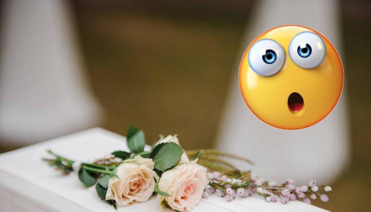 ковчег - СТРАХОВИТО: Бял ковчег край училище изправи косите на минувачи! (СНИМКИ)