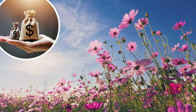 пролет пари - Първа пролет най-добра за привличане на пари