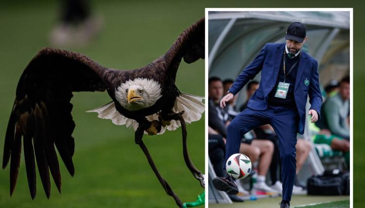 Футбол - Лудогорец размаха пръст на расистите по трибуните