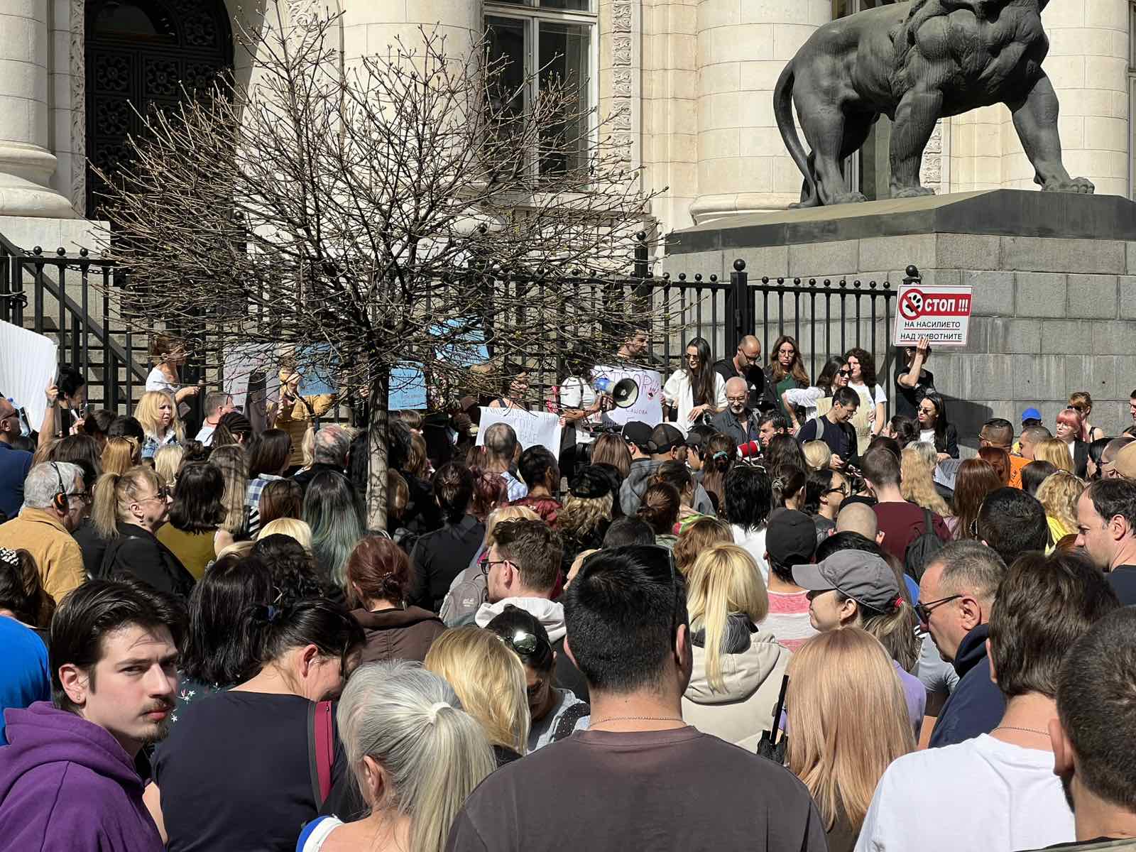 ПРОТЕСТ ЖИВОТНИ