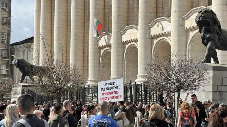 ПРИТЕСТ ЖИВОТНИ