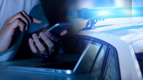 онлайн полиция