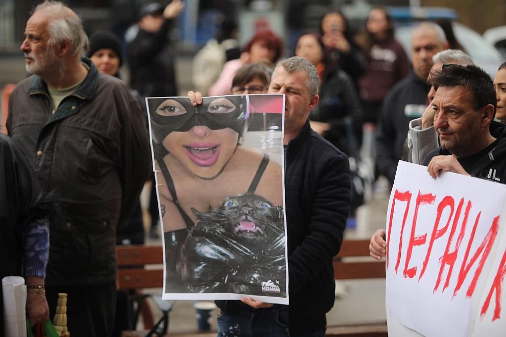 Разследването срещу мъчителите на животни от Перник става международно. Това