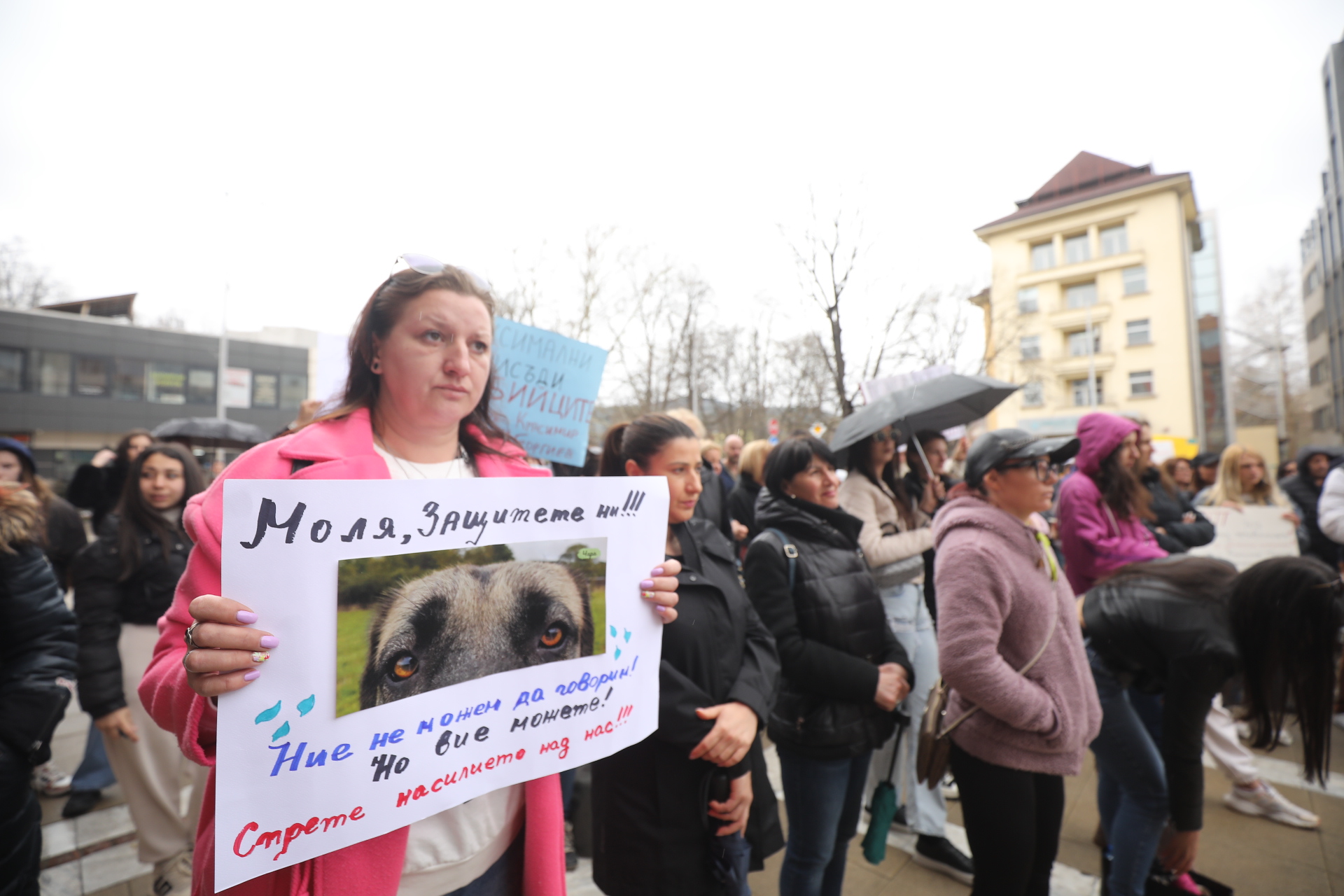 <p>Жители на Перник се събраха на протест срещу насилието над животни пред Съдебната палата в града.</p>