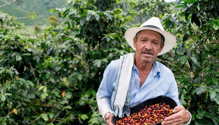 кафе - Агро Телеграф: Сутрешното кафе под заплаха