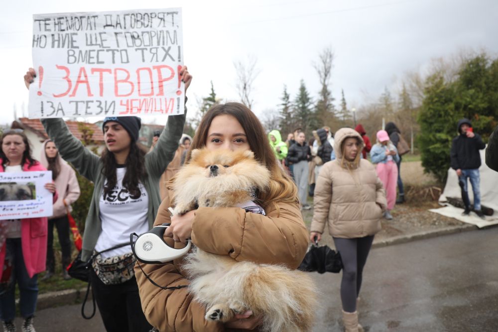 Протест в Дивотино