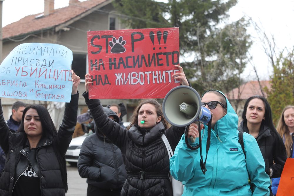 Протест в Дивотино