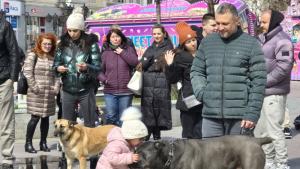 Видин протест насилие животни