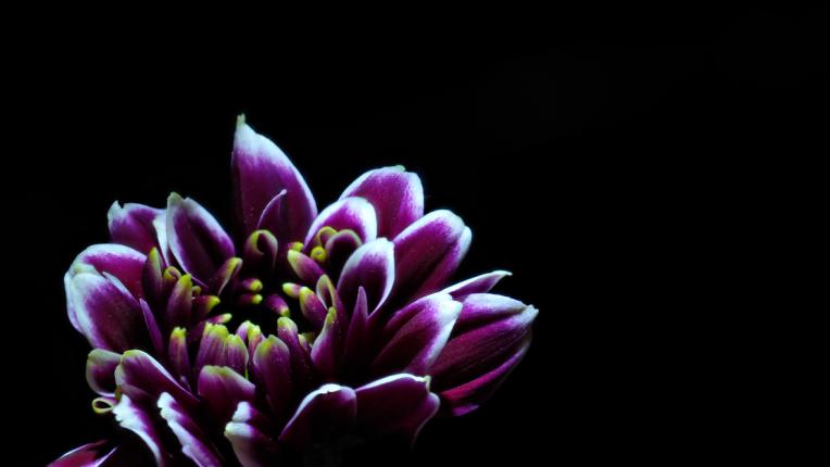  Дневен хороскоп за 25 август, понеделник 