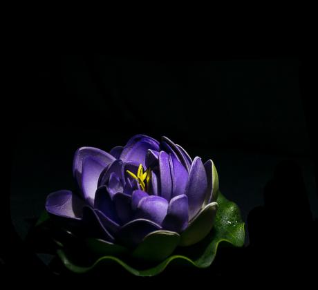 Като пламък в тъмнината ретроградният Плутон във Водолей запалва искра