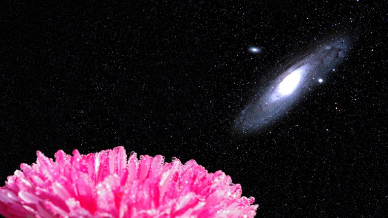  Дневен хороскоп за 23 април, сряда 