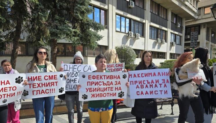 протест - СРЕЩУ НАСИЛИЕТО НАД ЖИВОТНИ: Протест във Видин пред Съдебната палата!