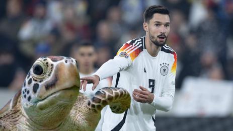 Тим Клайдинст