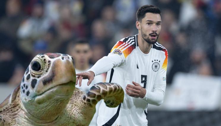 Тим Клайдинст - Германският Джейми Варди отглежда костенурки! Централният нападател пак измести фалшивата деветка, смята почти двуметровият Тим Клайдинст