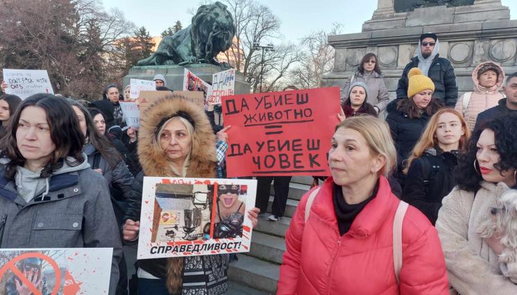 ВФ - ГНЯВ В РУСЕ: Протест срещу насилието на животни! (СНИМКИ)