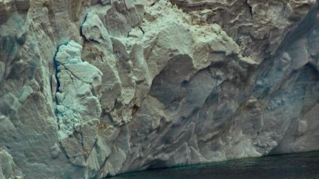 ледник ледници