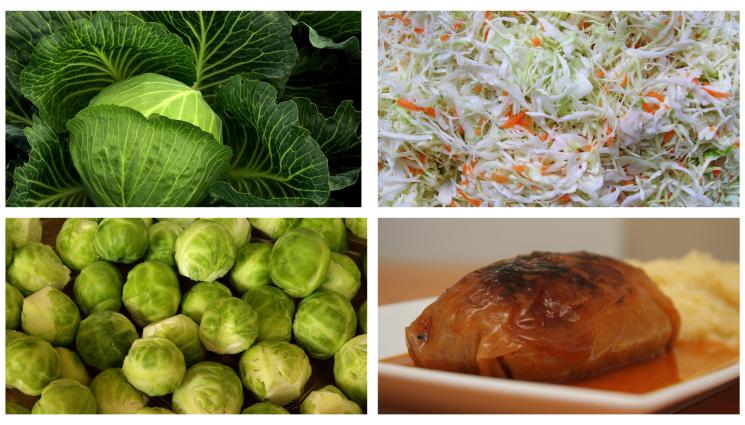 храни - ДА СТЕГНЕМ КОЛАНА: Едноседмична диета със задушено зеле