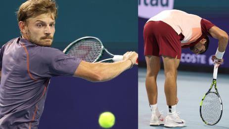 Давид Гофен Карлос Алкарас