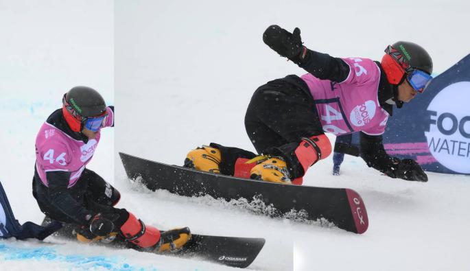 Тервел Замфиров Швейцария световно първенство