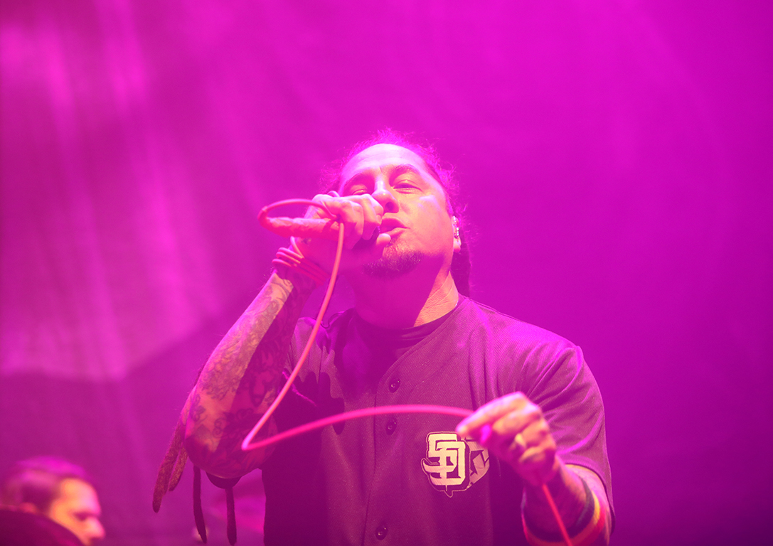 <p>P.O.D.</p>