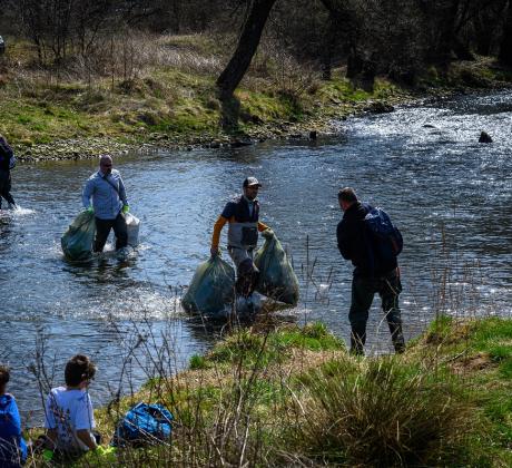 Повече от 500 доброволци се присъединиха към инициативата на природозащитната
