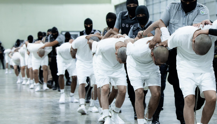 венецуелци венецуела банди банда - Съдия: САЩ са третирали нацистите по-добре, отколкото венецуелските мигранти!