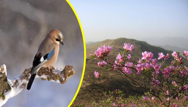 април - ВРЕМЕТО В АВАНС: Април ще ни побърка - идва с високи температури и сняг! (КАРТА)