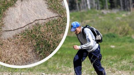 гъсеница на влакче