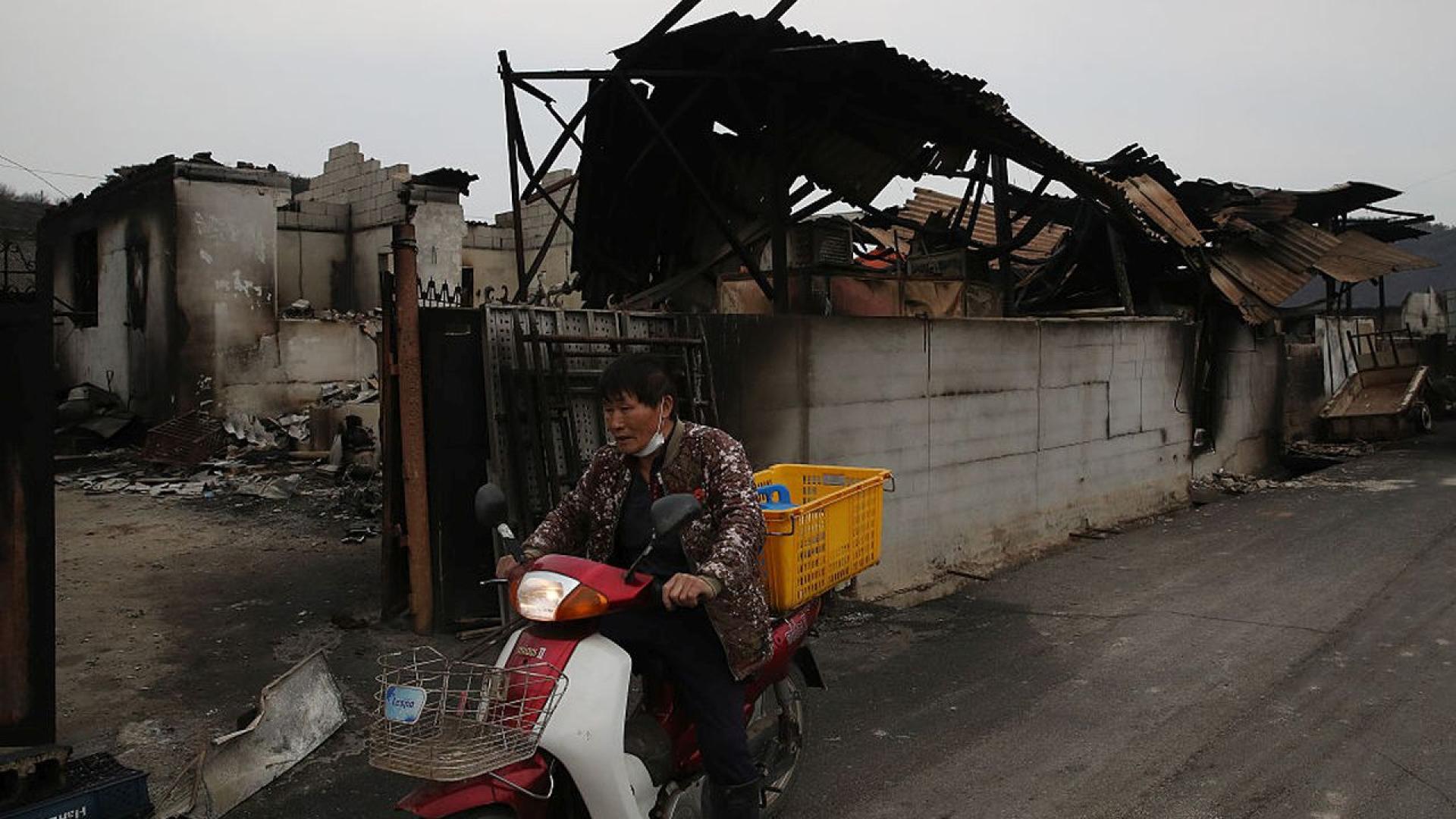 Пожарникарите в Южна Корея се надпреварват да спасяват животи и