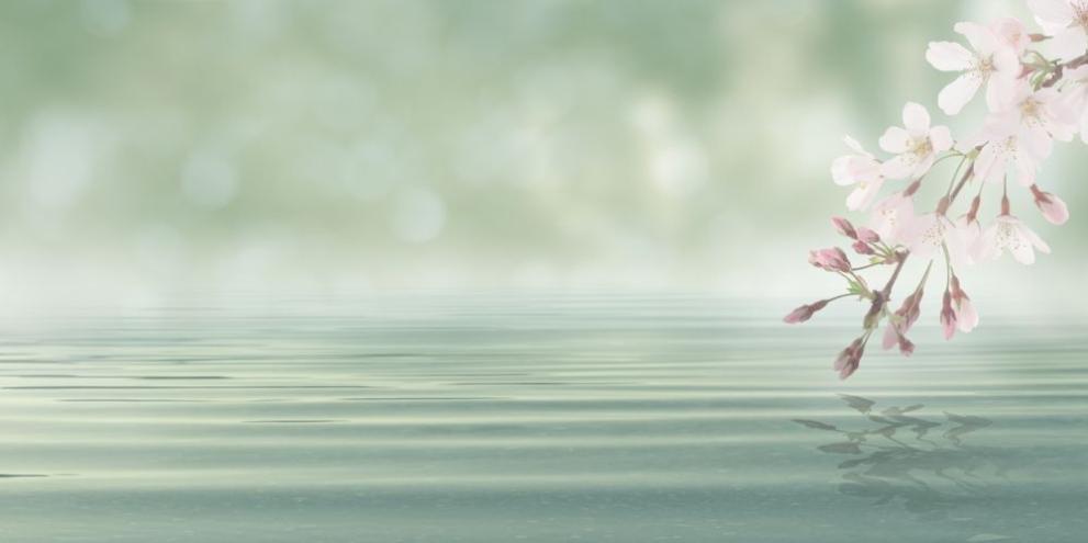 Сутринта на места в равнините, заради високата влажност, ще има