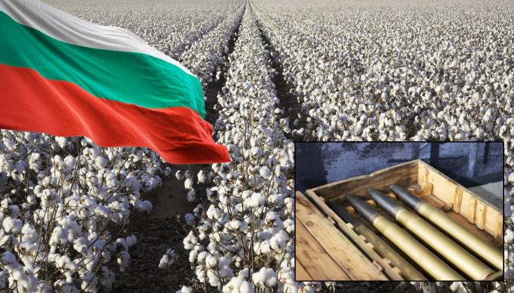 памук оръжие - МЕК, НО УБИЙСТВЕН: България прави оръжия с тукашен памук!