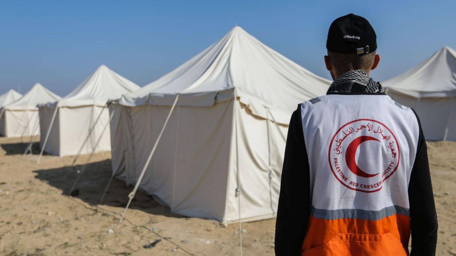 Международната федерация на дружествата на Червения кръст и Червения полумесец