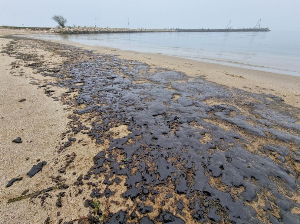 Институциите проверяват сигнали за петна от мазут в морето край