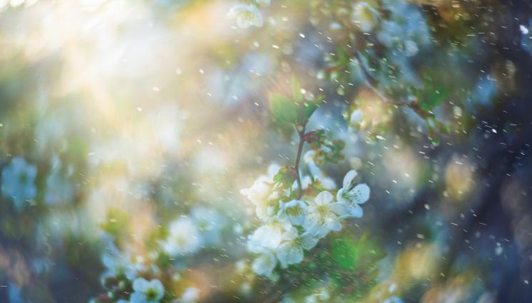 овошки - Агро Телеграф: Хладно, но без риск за овошките