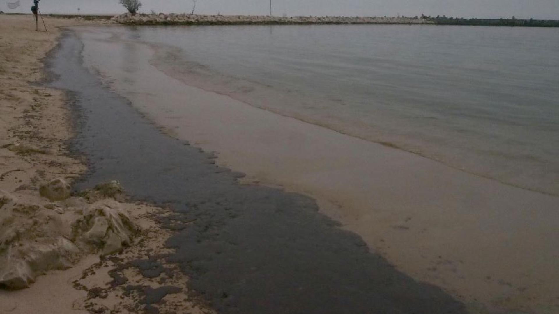 Обявиха частично бедствено положение във Варна заради замърсяването с мазут Това обяви