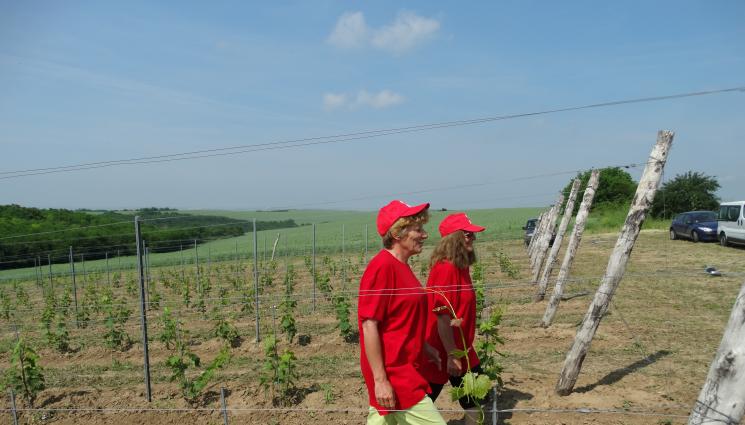 фермери - Агро Телеграф: Канят се да вземат от парите на фермите за оръжие