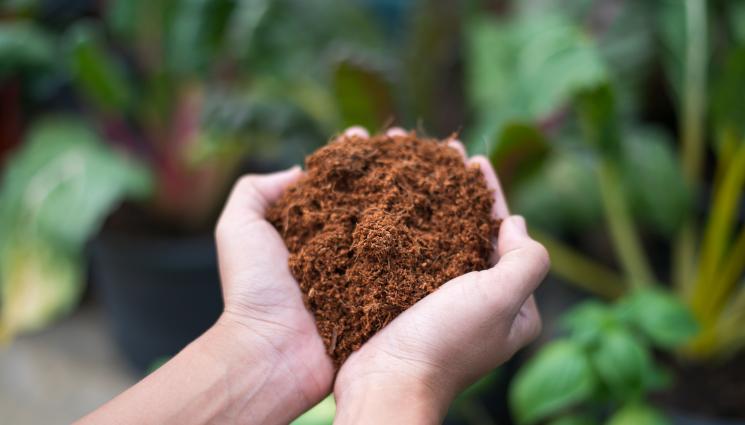 почва - Агро Телеграф: Правим идеалната почва с пет съставки